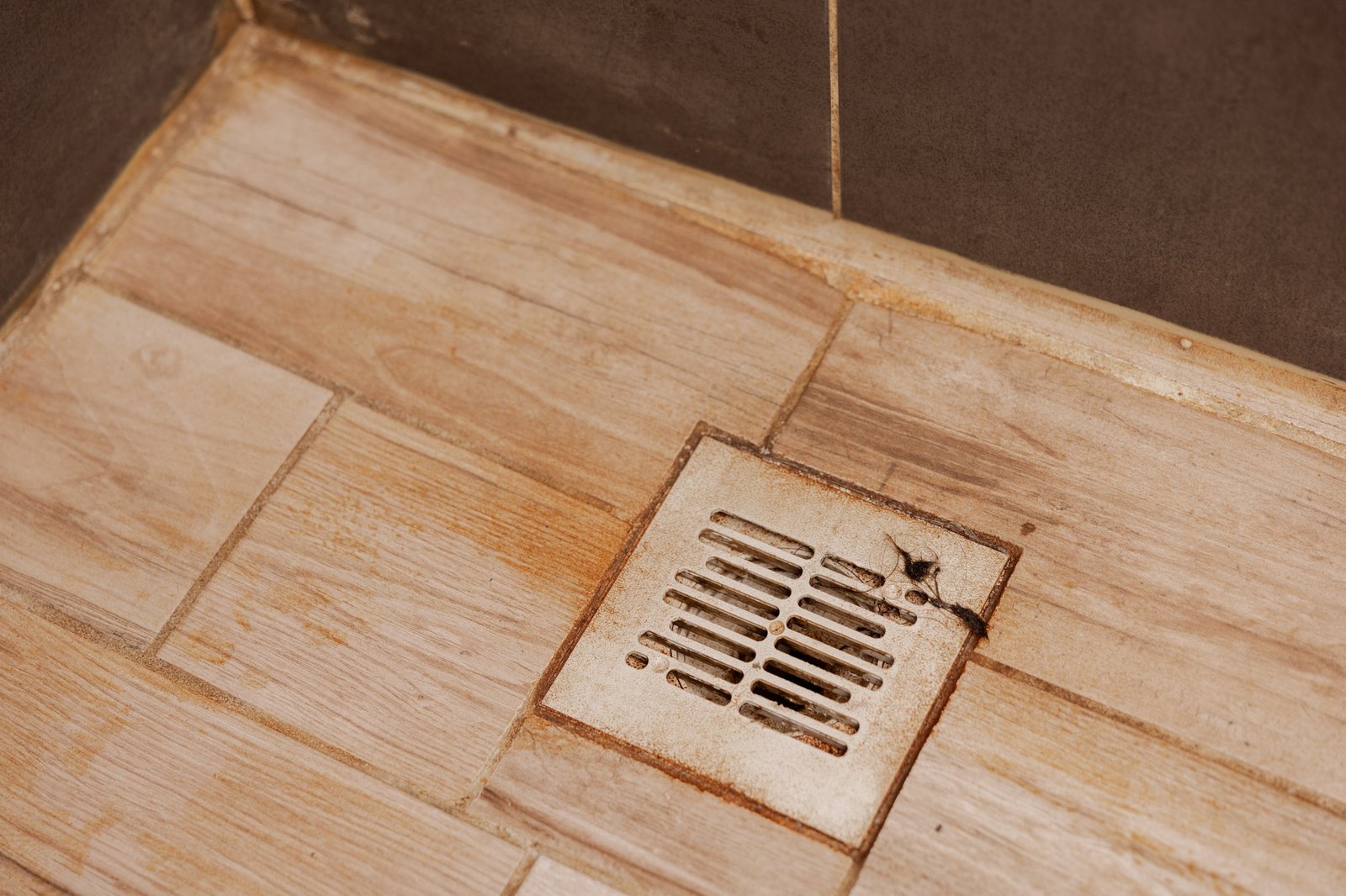 Dirty and disgusting shower drain, close up view. Clogged drain with rust stain, hair.